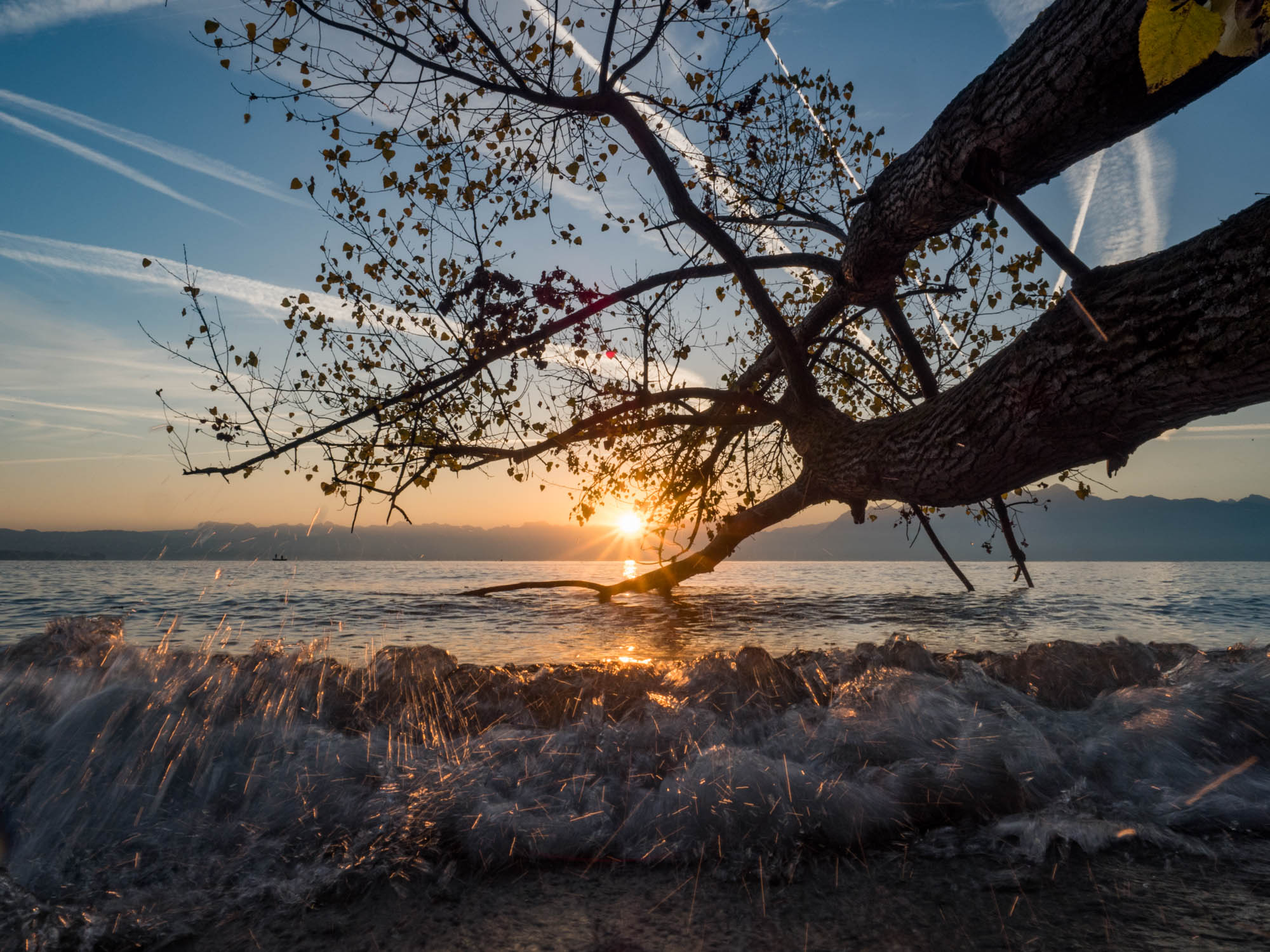 autumnal-sunrise-on-the-shore-of-lake-l-man